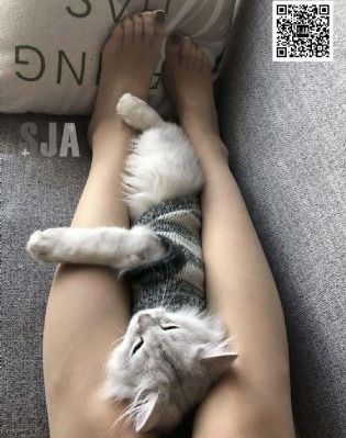 欧美剧最丰富的软件_1080免费在线播放