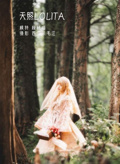 欧美成人免费看片一区_1080P完整视频观看