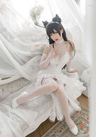 亚洲精品日韩v专区_超清手机免费观看完整